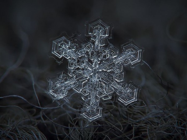 シンプルなDIYカメラキットでとらえた驚くべき雪の結晶