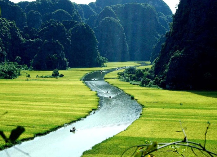 ベトナムの「タムコック」の山と田んぼ 