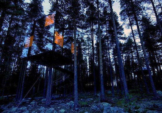 これが男のロマンと思える森の中の建築写真
