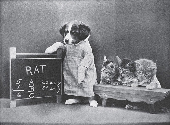 犬猫を擬人化したレトロな写真
