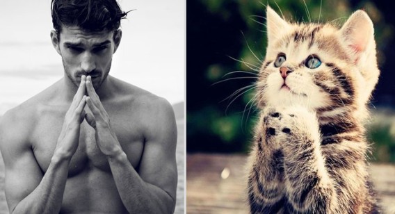どっちが好き？同じようなポーズのイケメンと猫の比較画像