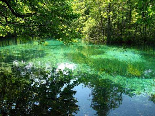 クロアチアの世界遺産『プリトヴィツェ湖群国立公園』の写真