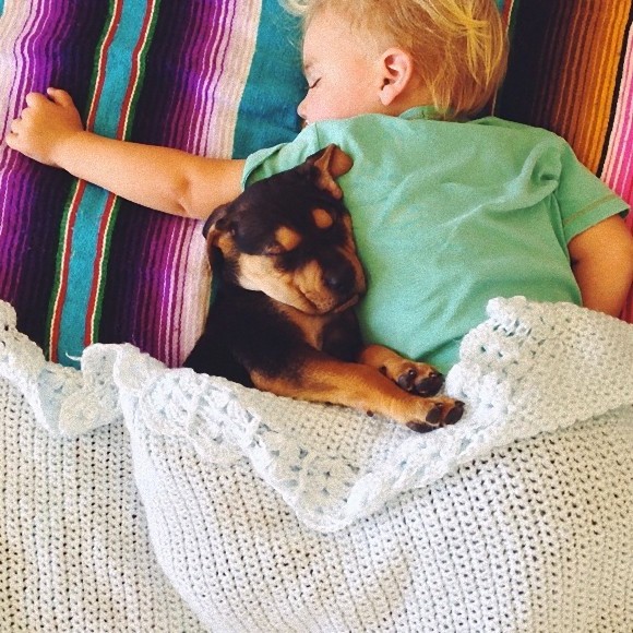 幼い子犬と幼い息子の友情の記録写真