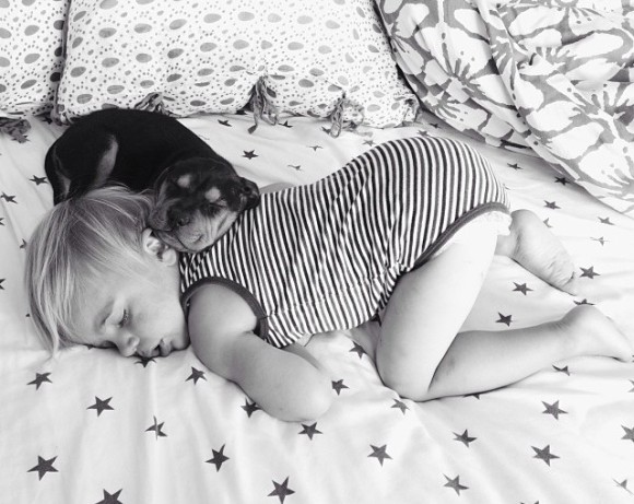 幼い子犬と幼い息子の友情の記録写真