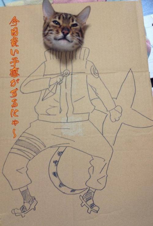 猫がダンボールから顔を出したイラスト画像