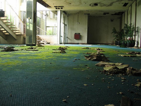 人が去り、緑色のカーペットを手に入れた苔むした廃墟の写真
