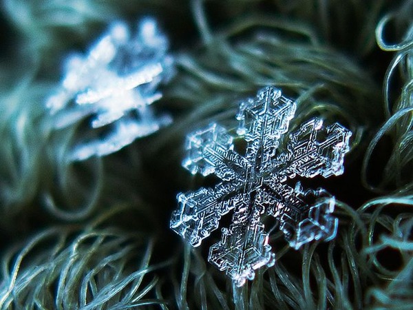 シンプルなDIYカメラキットでとらえた驚くべき雪の結晶