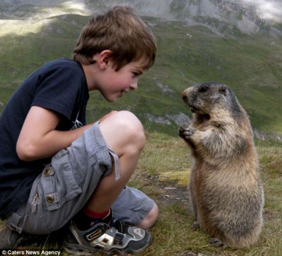 動物と人間の子供が仲良くしている可愛い写真