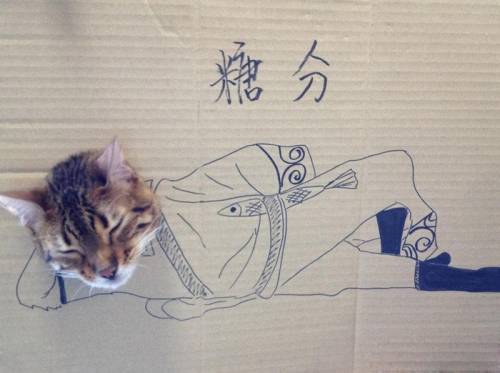 猫がダンボールから顔を出したイラスト画像