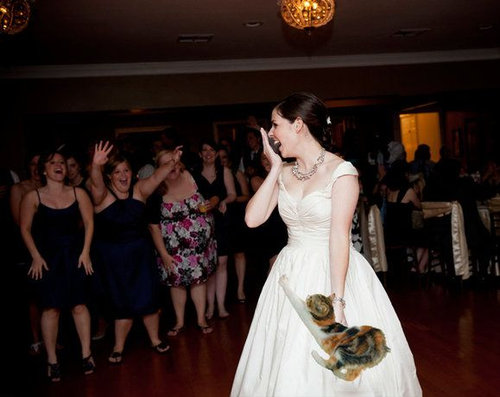 結婚式で花嫁が投げるブーケを「猫」に置き換えた写真