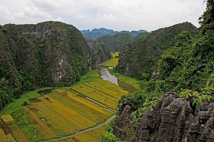 ベトナムの「タムコック」の山と田んぼ 