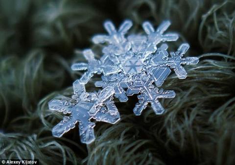 Alexey Kljatovさんの雪の結晶写真集