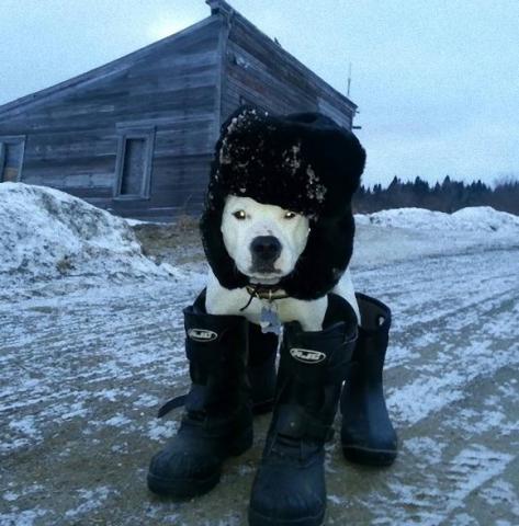 北国の寒さも平気！ポカポカ♡ BURTON スノーボードウェア スノボ 
